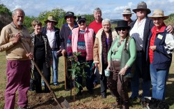 Betty Markwell Memorial Planting